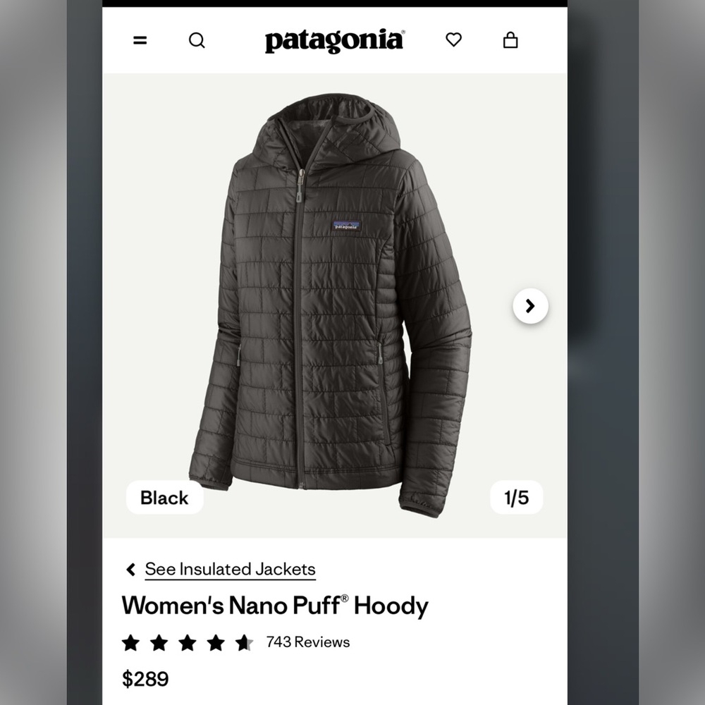 Patagonia Nano Puff Hoody Jacket